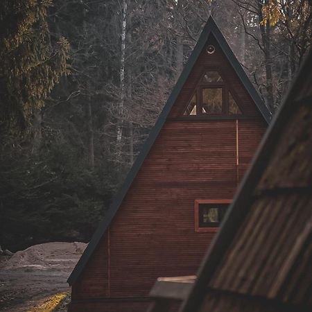 Lesny Dwor Villa Janowice Wielkie Luaran gambar