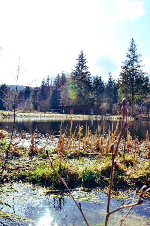 Lesny Dwor Villa Janowice Wielkie Luaran gambar