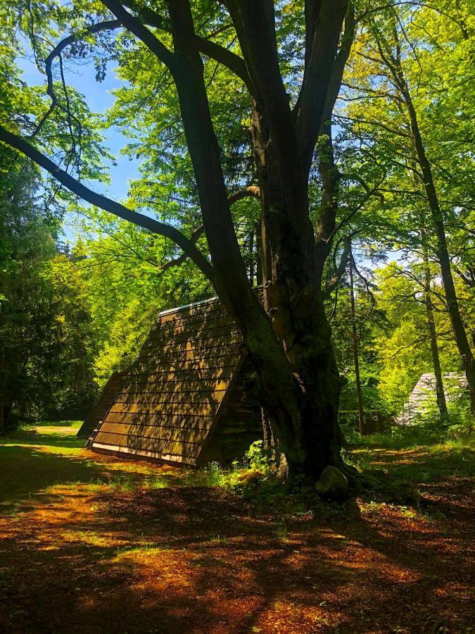 Lesny Dwor Villa Janowice Wielkie Luaran gambar