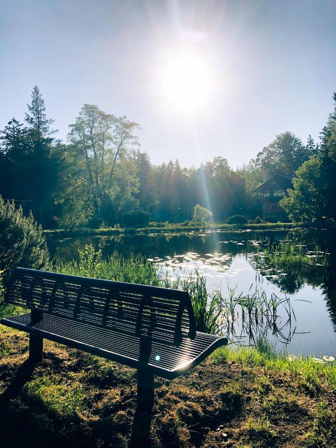 Lesny Dwor Villa Janowice Wielkie Luaran gambar
