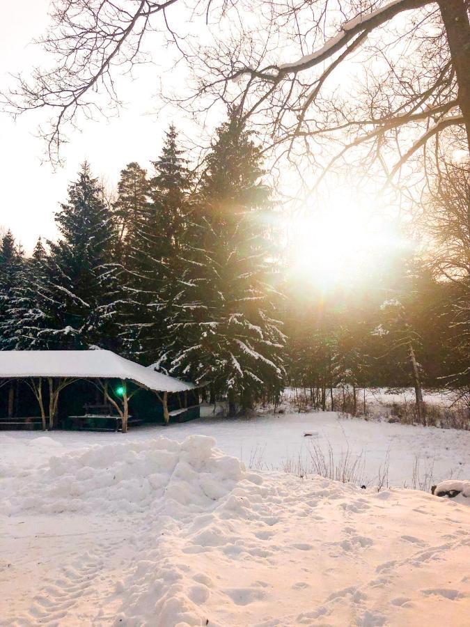 Lesny Dwor Villa Janowice Wielkie Luaran gambar