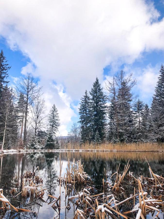 Lesny Dwor Villa Janowice Wielkie Luaran gambar