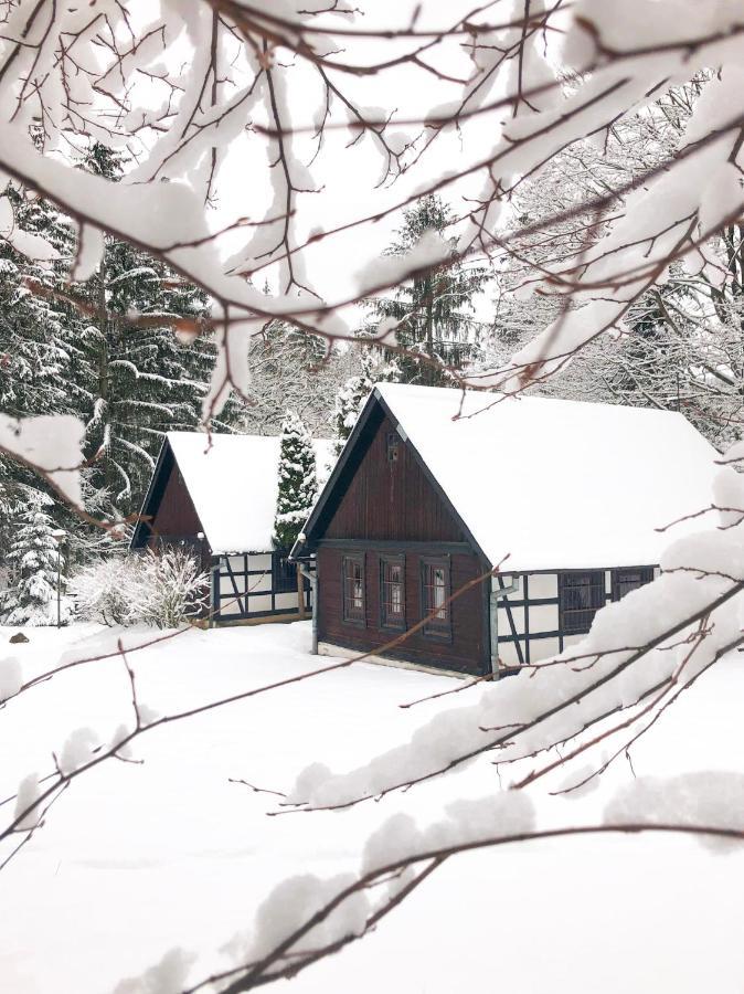 Lesny Dwor Villa Janowice Wielkie Luaran gambar