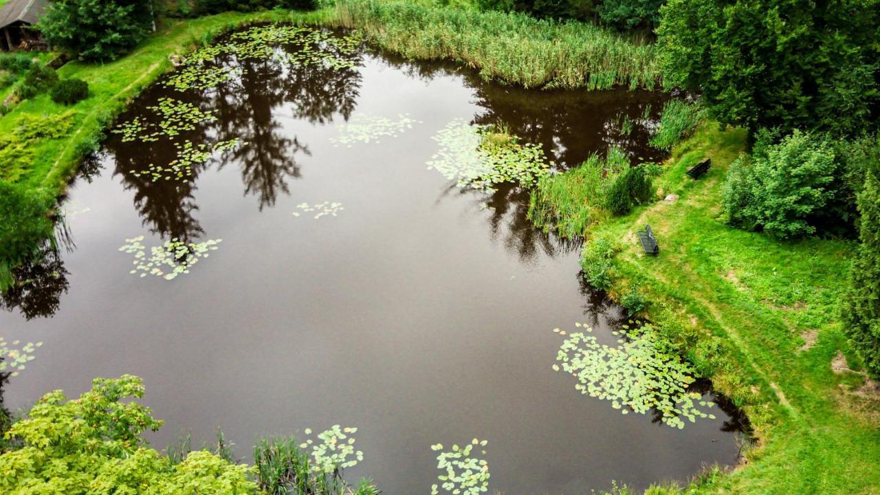 Lesny Dwor Villa Janowice Wielkie Luaran gambar