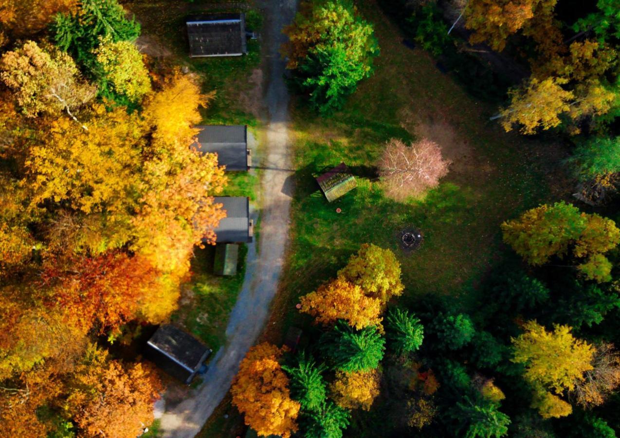 Lesny Dwor Villa Janowice Wielkie Luaran gambar