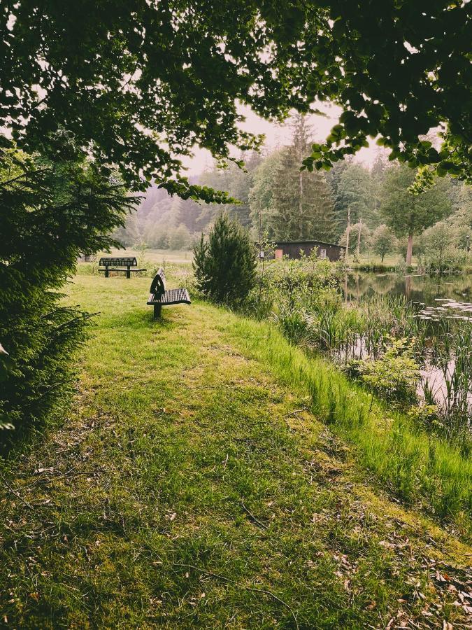 Lesny Dwor Villa Janowice Wielkie Luaran gambar