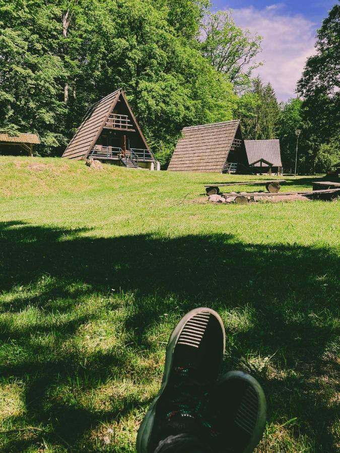 Lesny Dwor Villa Janowice Wielkie Luaran gambar
