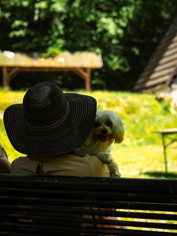 Lesny Dwor Villa Janowice Wielkie Luaran gambar