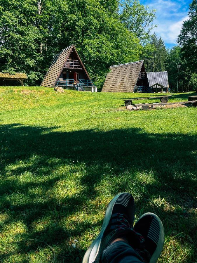 Lesny Dwor Villa Janowice Wielkie Luaran gambar