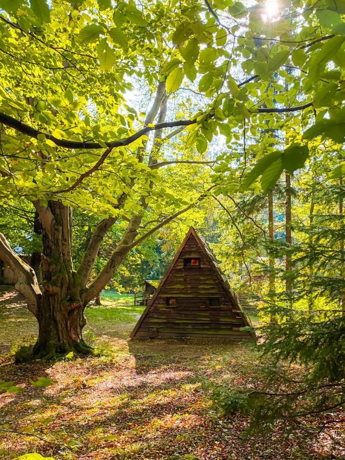 Lesny Dwor Villa Janowice Wielkie Luaran gambar