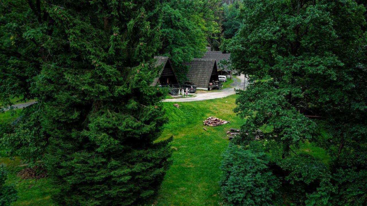 Lesny Dwor Villa Janowice Wielkie Luaran gambar